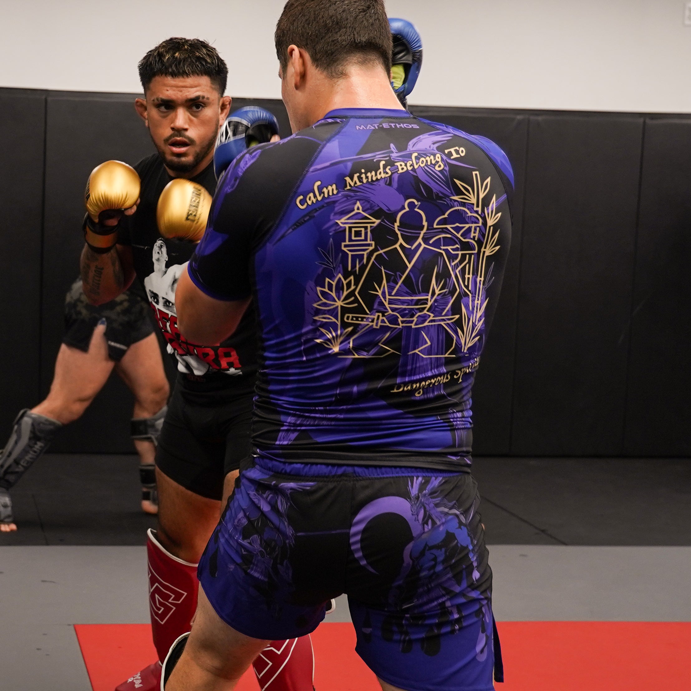 Calm Minds Fight Shorts – Mat Ethos